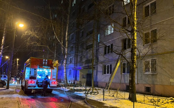 Девять человек спаслись на пожаре в Брянске 
