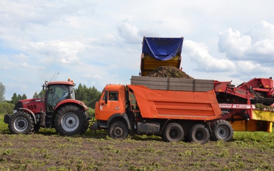 Брянщина получит 292 млн рублей на производство овощей