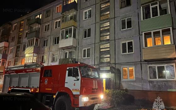 На пожаре в Брянске погиб мужчина