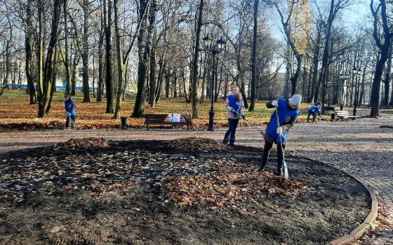 Студенты провели экоакцию в брянском парке