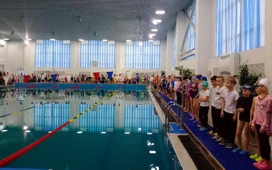Первенство Брянска по плаванию собрало 350 юных участников