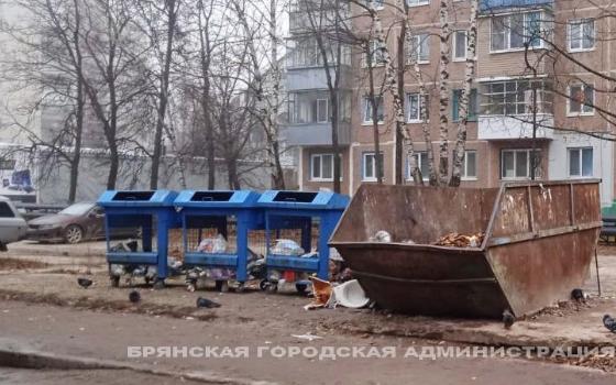 Управляющие компании Брянска наказали за неубранный мусор