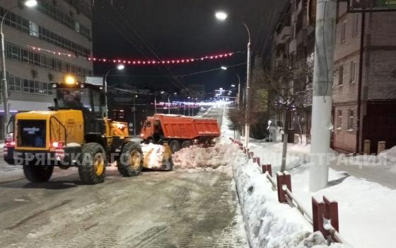 Ночью из Брянска вывезли две тысячи тонн снега