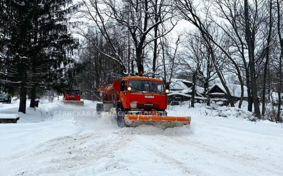 Более 24-х тонн снега убрали с улиц Брянска за пару недель
