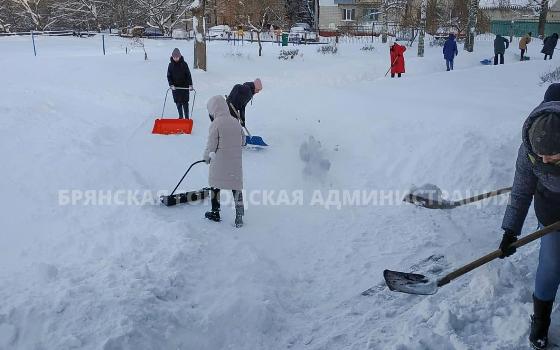 Занятия в школах Брянска отменили из-за снегопада