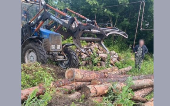 Председателя брянского сельхозкооператива обвиняют в незаконной вырубке леса
