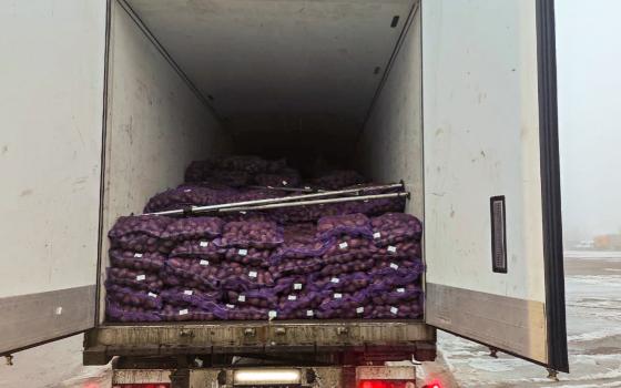 Более 15 тонн груш без документов задержали брянские таможенники