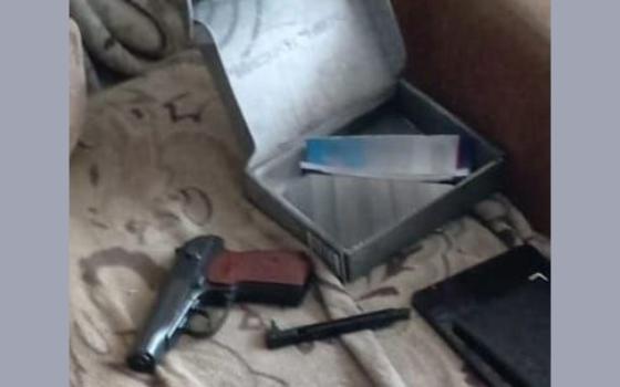 Брянские полицейские задержали стрелявшего по птицам из «пневматики» мужчину