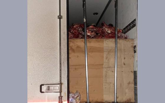 40 тонн мясных субпродуктов без документов изъяли брянские таможенники