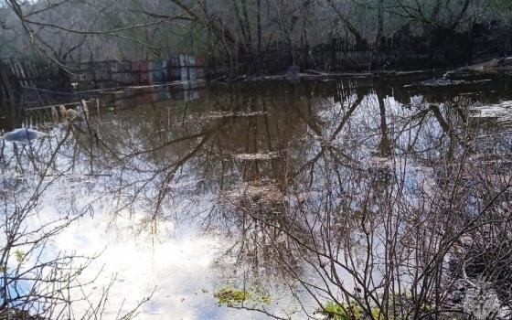 11 участков затоплены в Брянской области