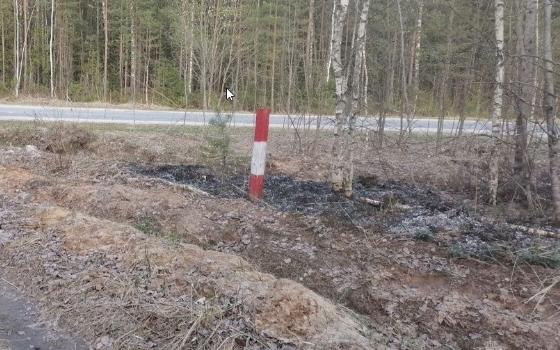 Лесной пожар потушили в Жуковском округе