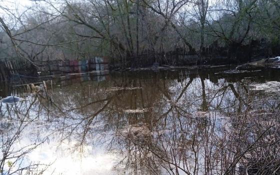 Семь жилых домов затопило в Брянске