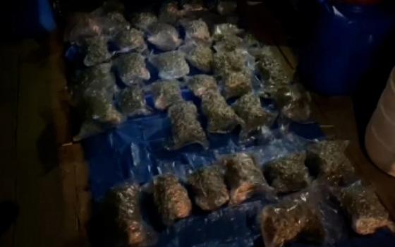 15 кило марихуаны изъяли брянские полицейские