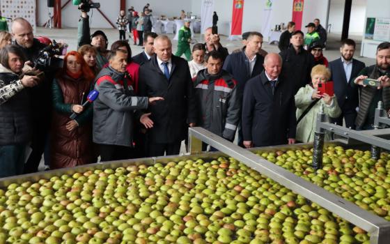 Плодохранилище на пять тысяч тонн яблок открыли в Клетнянском районе