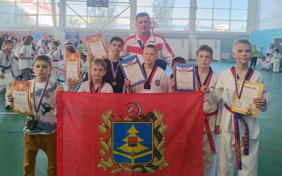 Брянские тхэквондисты завоевали девять медалей в Рославле