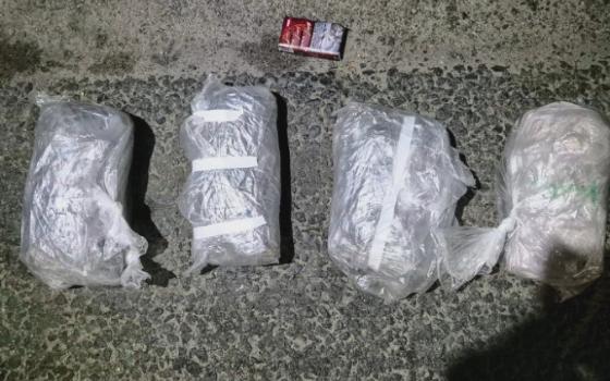 Брянские полицейские изъяли пять килограммов наркотиков у жителя Сочи