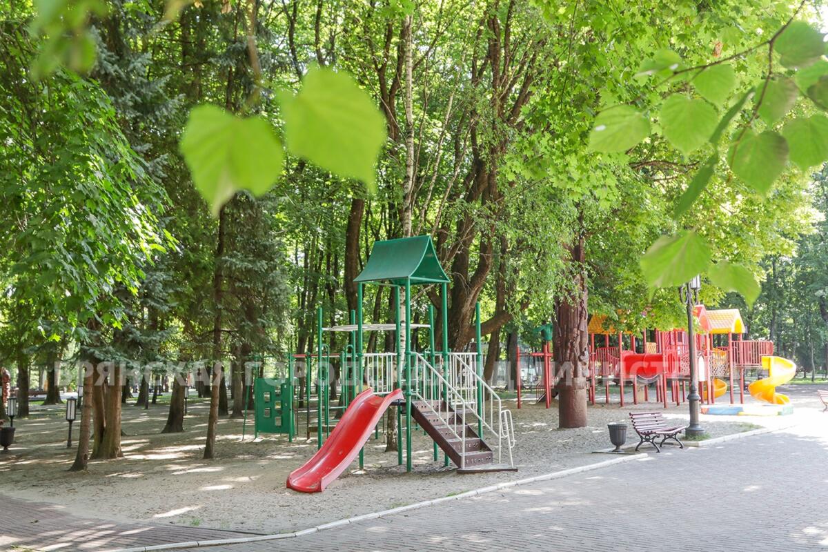 В парке Толстого в Брянске появится спортплощадка