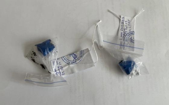 Брянские полицейские обнаружили наркотики в квартире иностранца