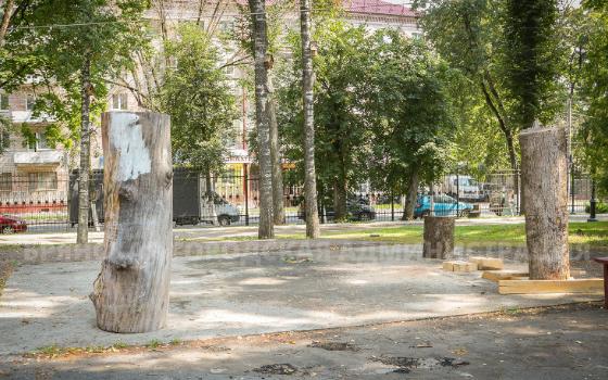 Дуб «закружится в танце» в парке Брянска