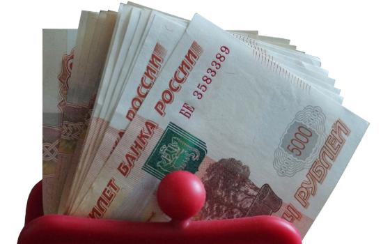 Брянские полицейские раскрыли кражу 80 тысяч рублей у пенсионера