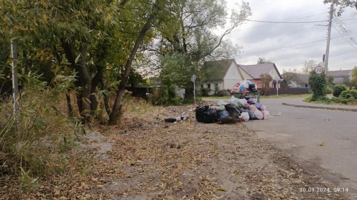 15 брянцев оштрафовали за несанкционированные свалки