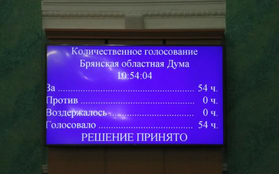 Многодетным матерям Брянщины депутаты увеличили размер единовременной выплаты