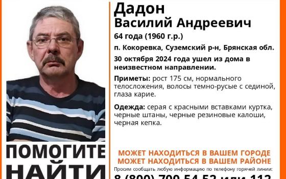 64-летний мужчина пропал в Брянской области неделю назад