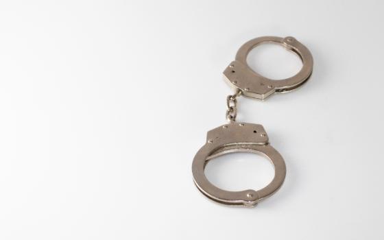 Угон самосвала раскрыли брянские полицейские за два часа