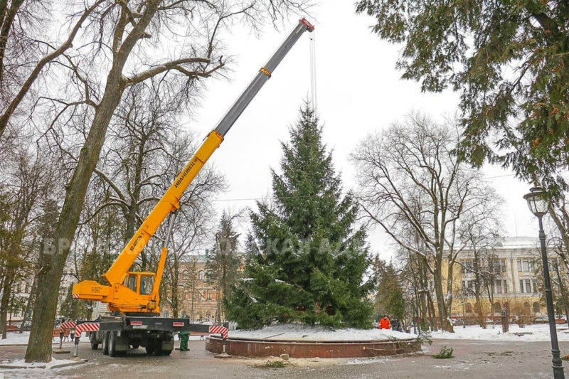 Главную городскую ёлку установили в Брянске 