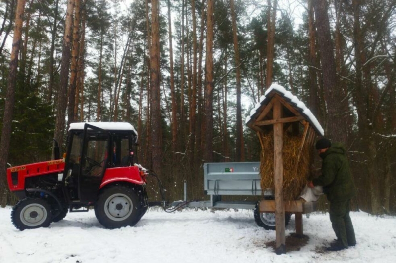 В дружбе с заповедной природой 