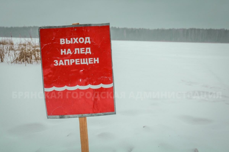 Крещенских купаний в Брянске не будет из-за погоды 