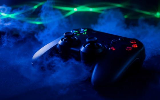 Хищение игровой приставки раскрыли стражи порядка в Брянске