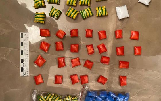 Двух иностранцев брянский суд отправил в колонию за сбыт героина