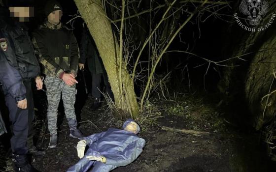 Брянца обвиняют в убийстве соседа клином для колки дров