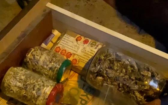 Полицейские изъяли у брянца наркотические грибы и растения