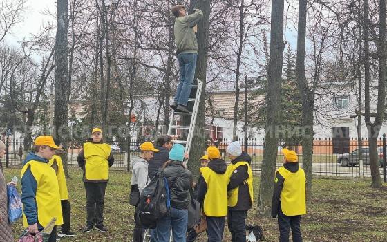 Школьники Брянска повесили 11 скворечников в парке