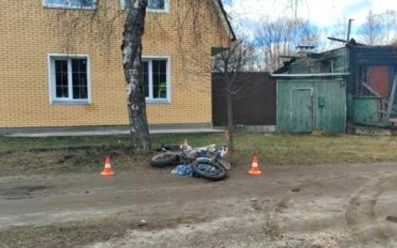 Байкер погиб при столкновении с деревом в Брянске