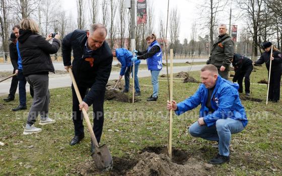 80 деревьев посадили в Фокинском районе Брянска