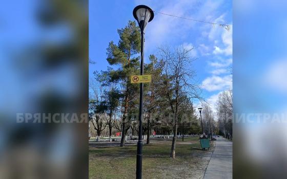 В парках Брянска запретили выгуливать собак