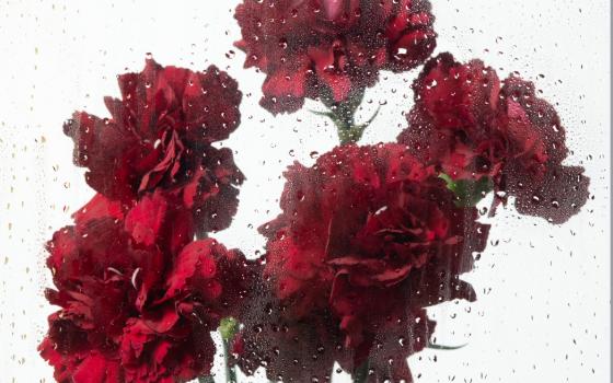 Брянцы будут отдыхать на Радоницу