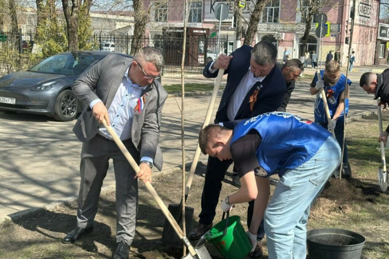 Зелёная перезагрузка: в Брянске массово возрождают городские скверы 