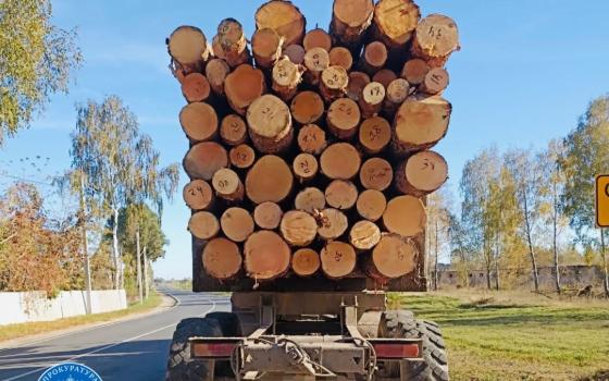 Брянца ждёт суд за контрабанду лесоматериалов