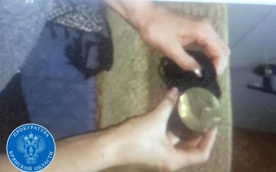 Гражданина Армении ждёт колония за обман жительницы Брянска