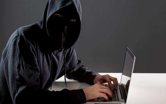 Мошенничество раскрыли полицейские в Брянске