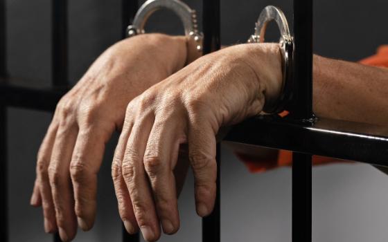 Серию краж из домов в садовых обществах Брянского района раскрыли правоохранители