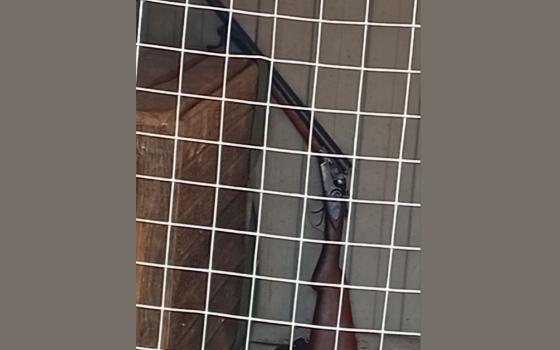 Устроивших стрельбу во дворе дома брянцев задержали полицейские