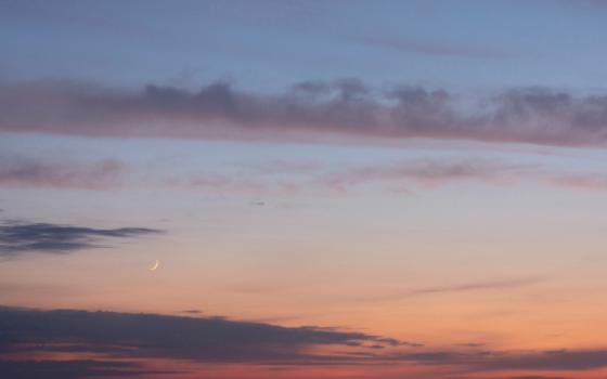 44 беспилотника уничтожили военные над Брянщиной ночью