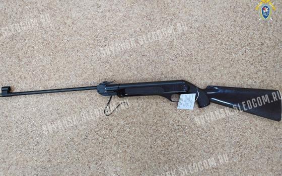 Брянский пенсионер получил условное наказание за стрельбу по подросткам