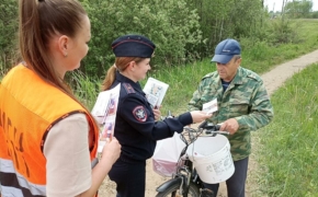 Профилактическую акцию «Безопасность в приДАЧУ» провели в Брянской области