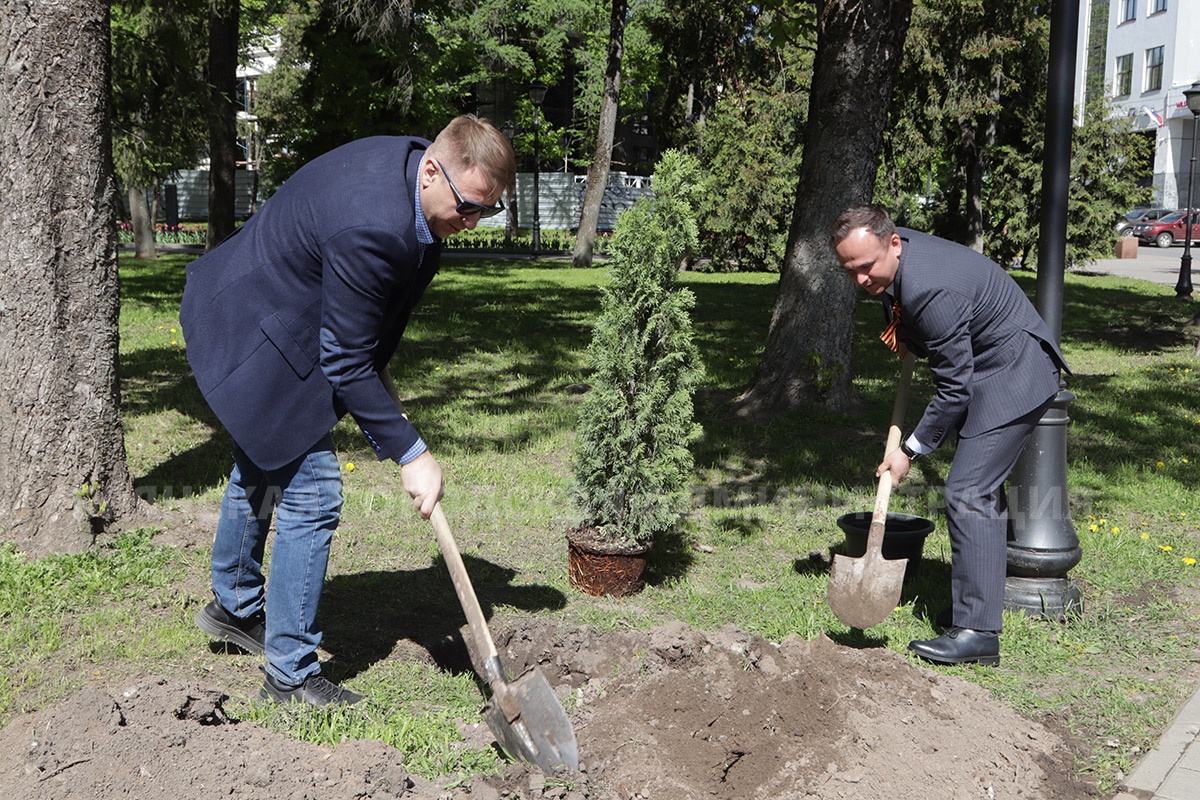 В сквере Карла Маркса в Брянске депутаты и студенты посадили туи